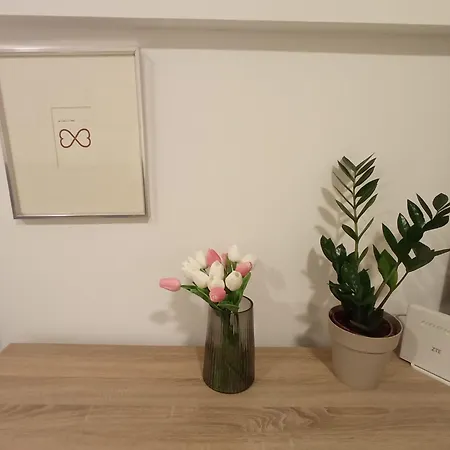 Estudio Centro 10